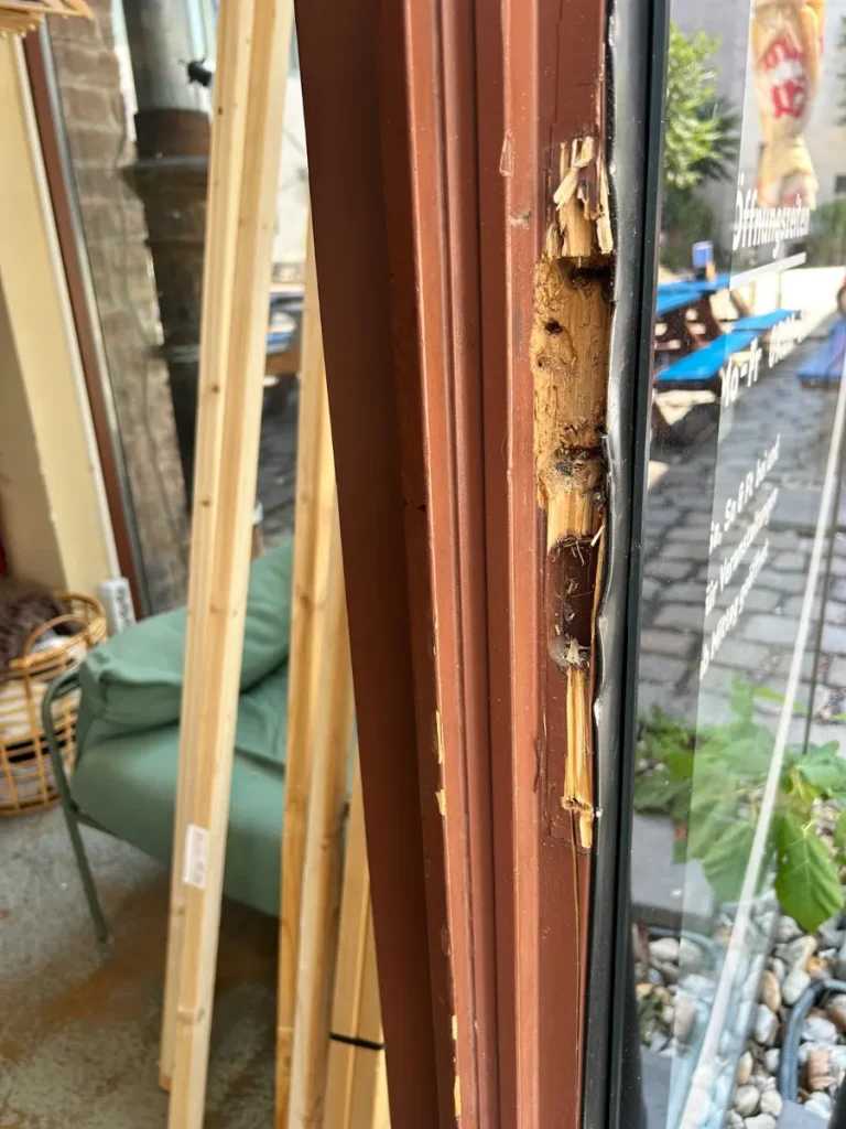 Holzfenster an einem Lokal in Wien
